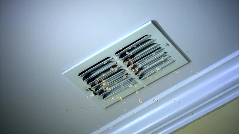 Best Air Duct Cleaning Company Near Me  in Berry College, GA
